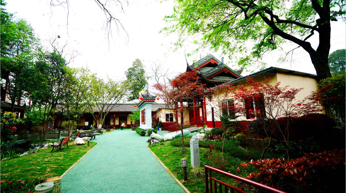 老了去不去養老院？成都養老院推薦哪家？